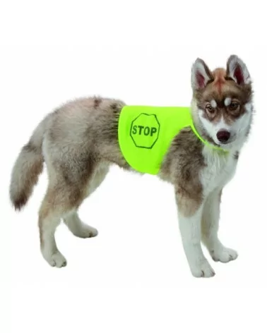 Biztonsági mellények kutyáknak